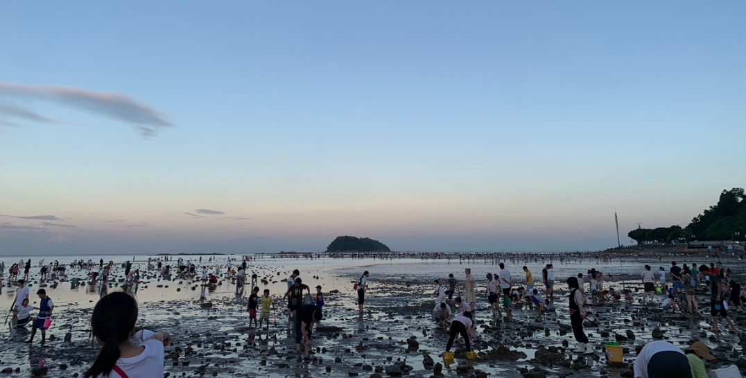 珠海赶海最佳地点推荐