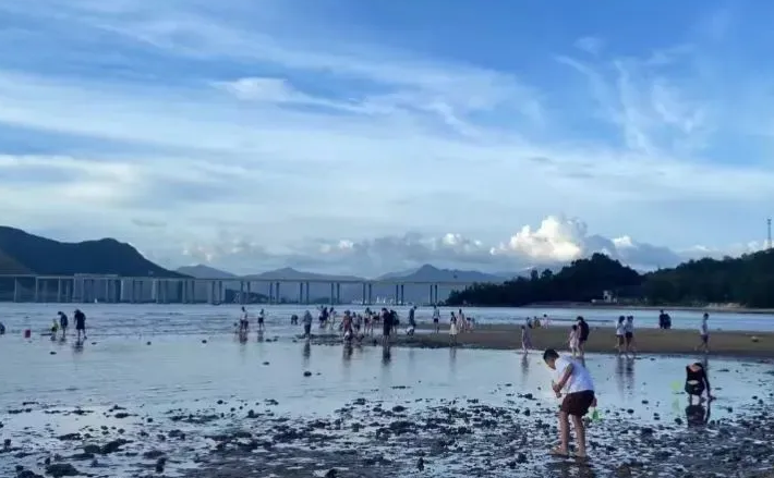 惠州赶海地点推荐