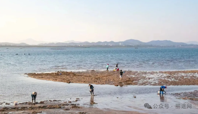 防城港赶海攻略：4个防城港赶海最佳地点及防城港潮汐表